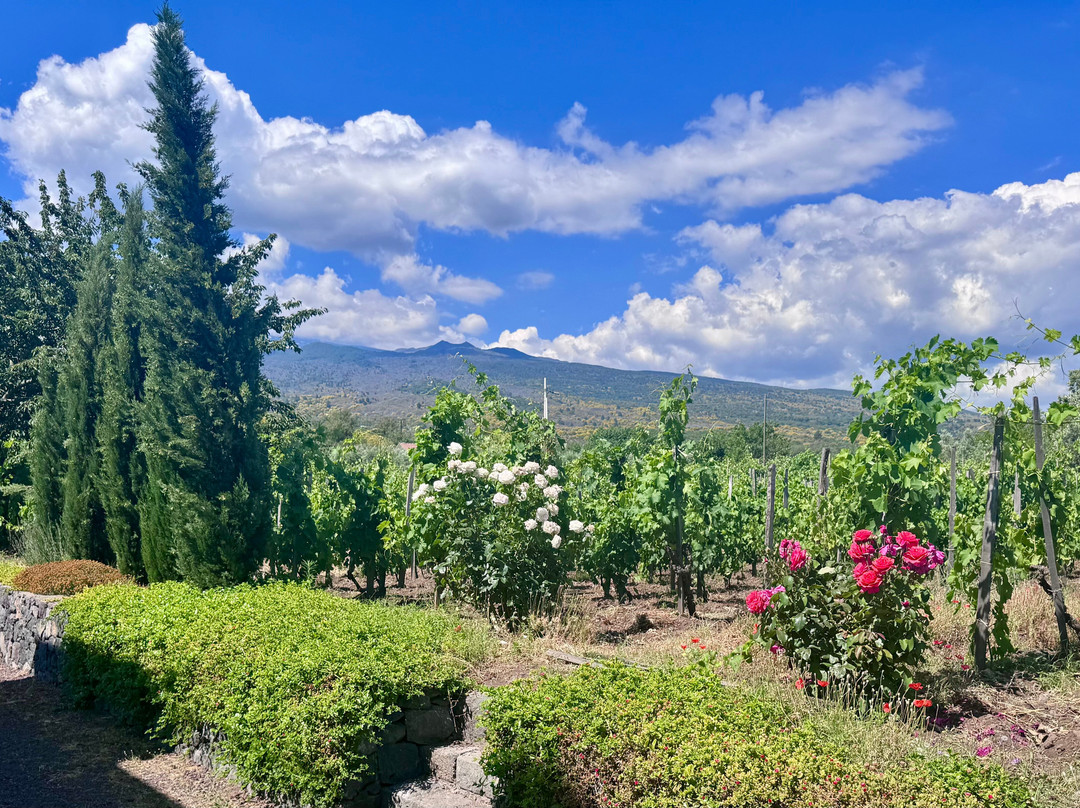 Casale 120 Winery-Rovittello必去景点
