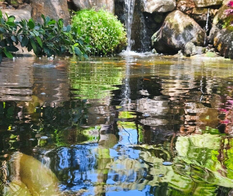 Ilha das Aves-Campanario必去景点