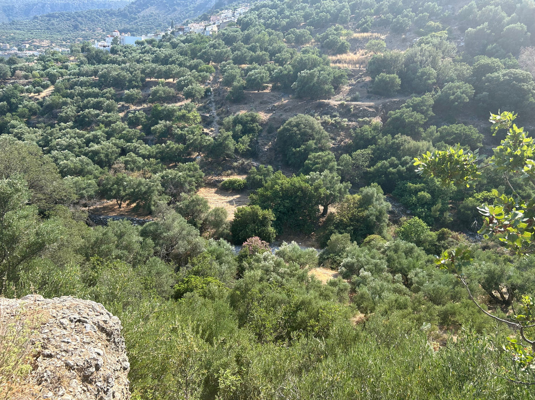 Kritsa Gorge-Kritsa必去景点