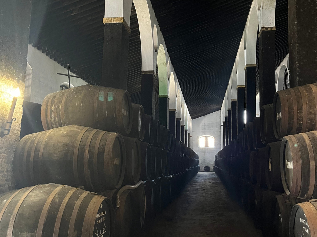 Bodegas Barbadillo-Sanlucar de Barrameda必去景点