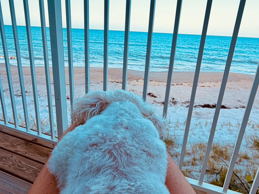 Sandy Shoes Beach Hotel主图