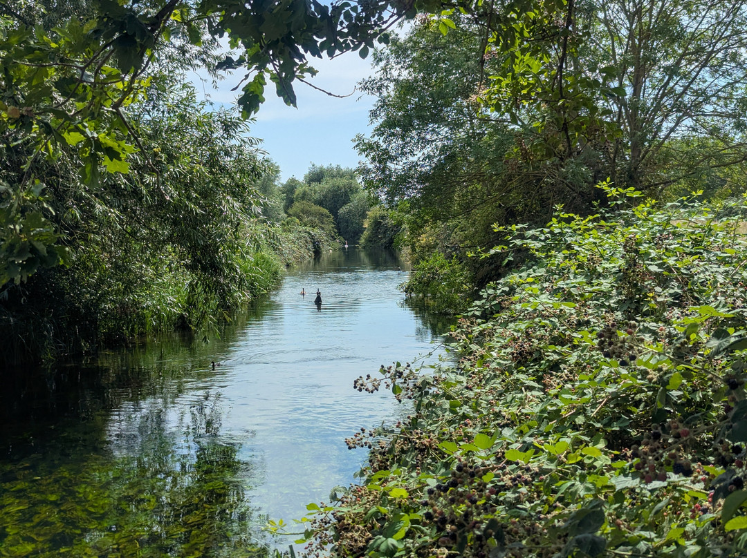 Walthamstow Wetlands-伦敦必去景点