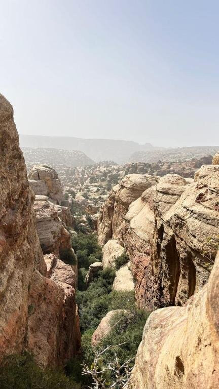 Dana To Petra Trail Guide-Dana必去景点