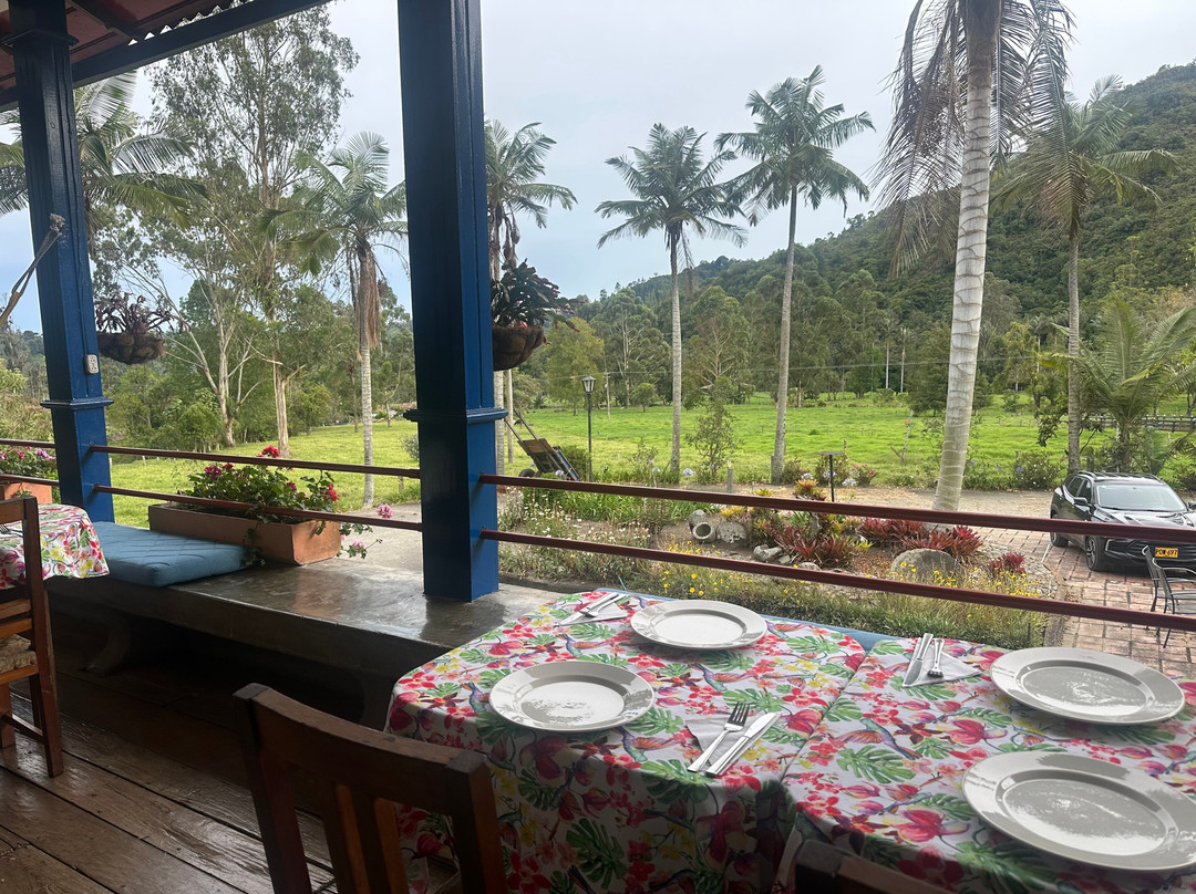 Reserva Guadalajara - Cocora Valley主图