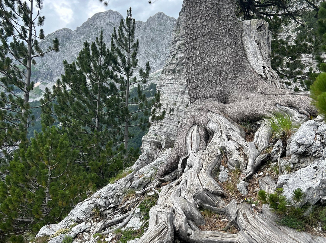Balkan Natural Adventure-Pejë必去景点