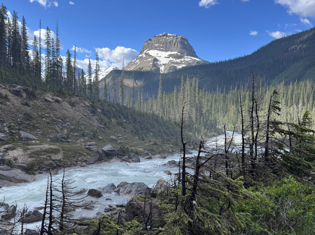 Takakkaw Falls-幽鹤国家公园必去景点