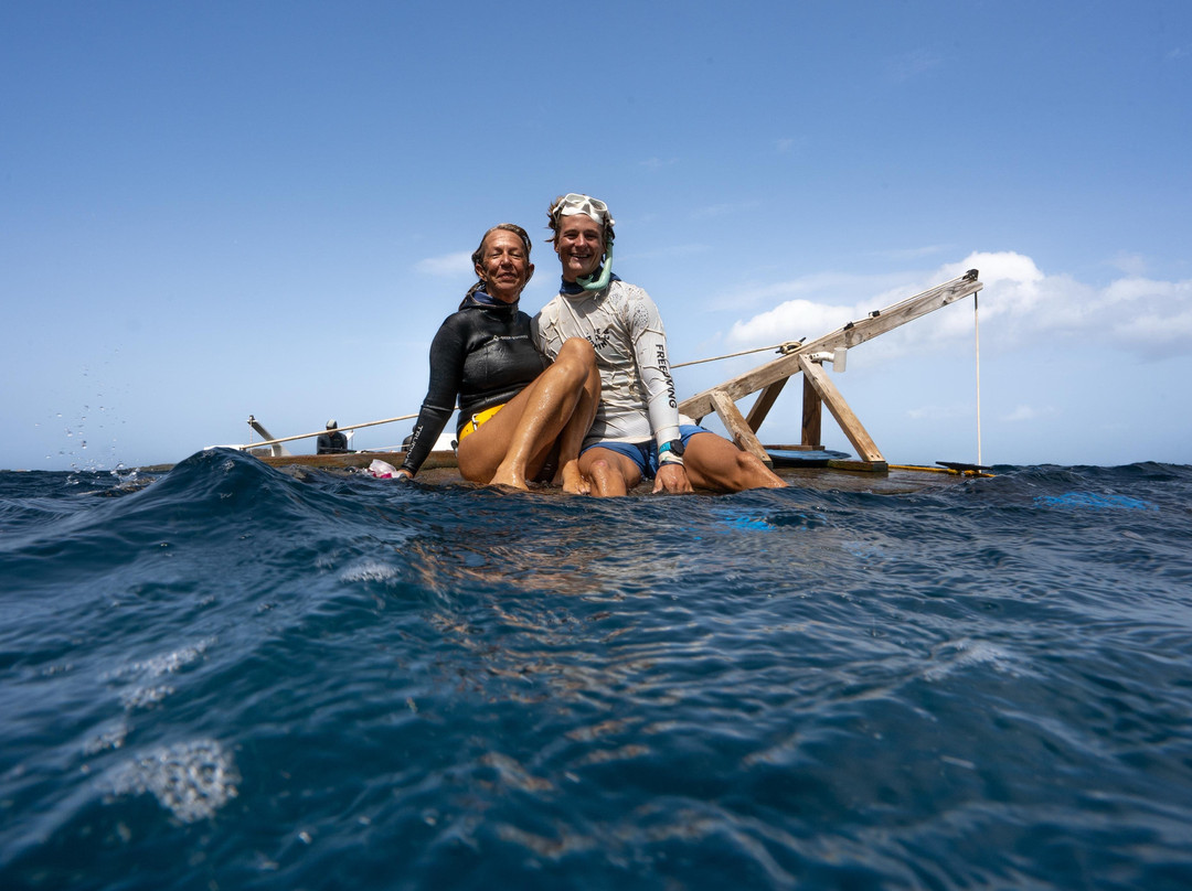 Deep Dominica Freediving-Soufriere必去景点