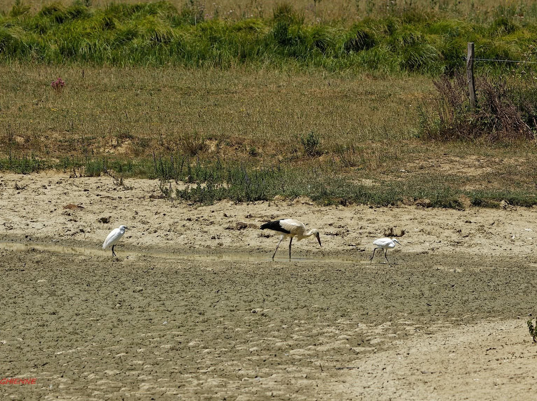 Domaine des Oiseaux-Mazeres必去景点