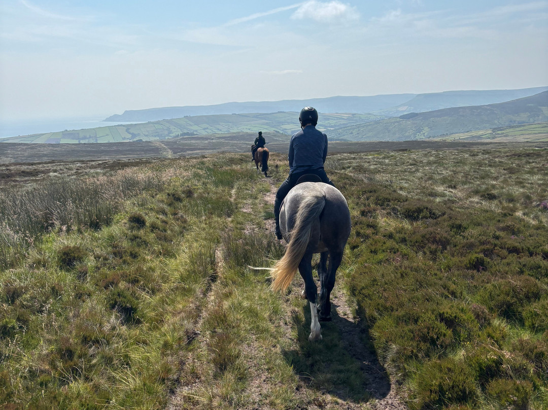 Bespoke Equestrian Ireland-都柏林必去景点