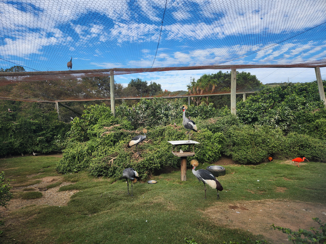 African Dawn Bird and Wildlife Sanctuary-Thornhill必去景点