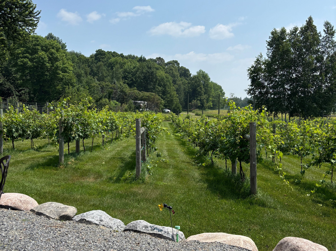Hidden View Winery-梅德福必去景点
