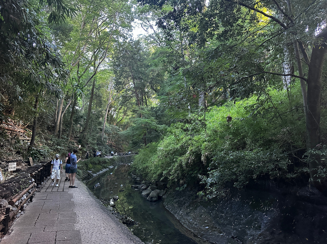 世田谷区-世田谷区必去景点