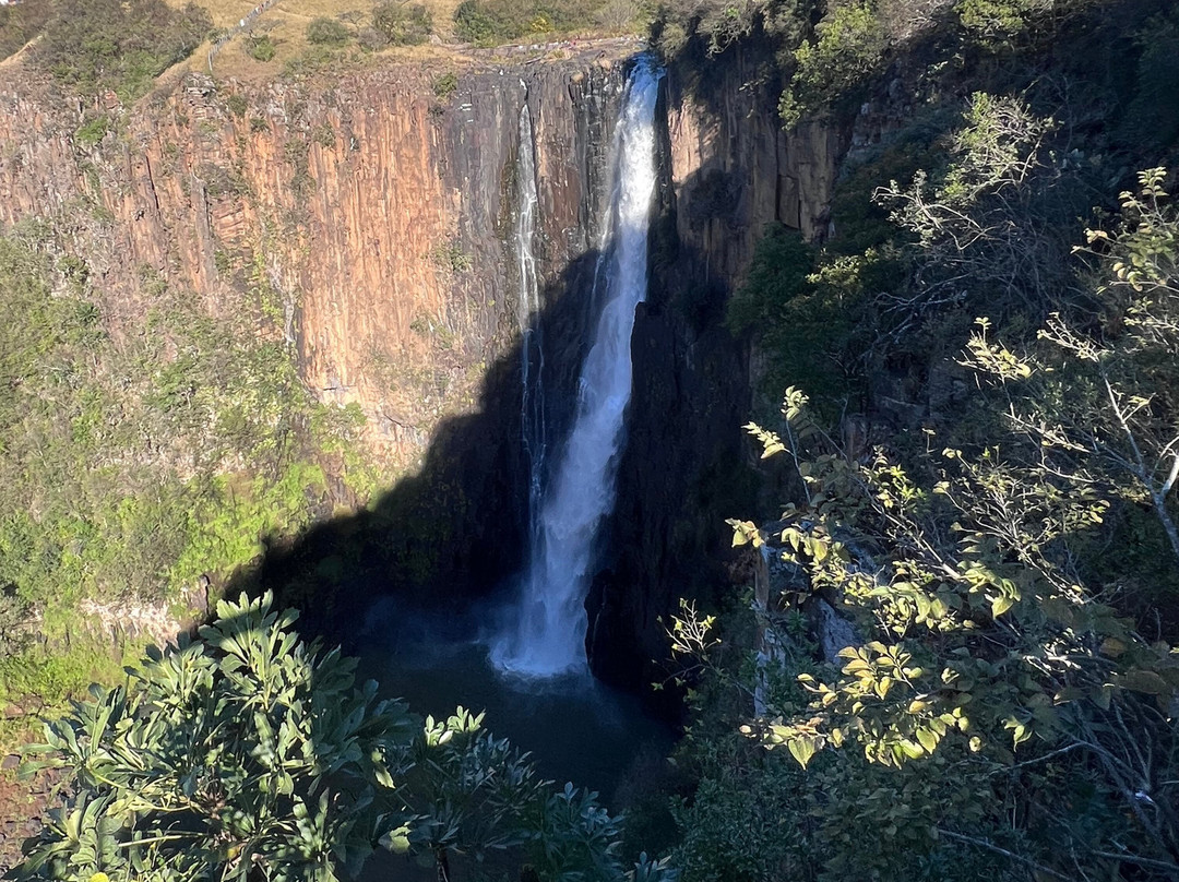 Howick Falls-豪威克必去景点