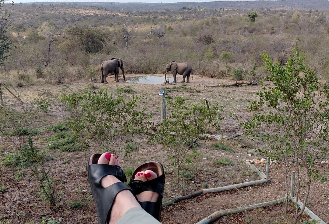 Tulani Boutique Lodge - Includes Game Drives and Meals主图