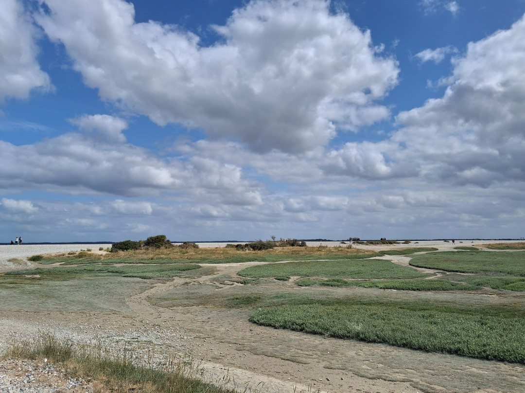Le Hourdel