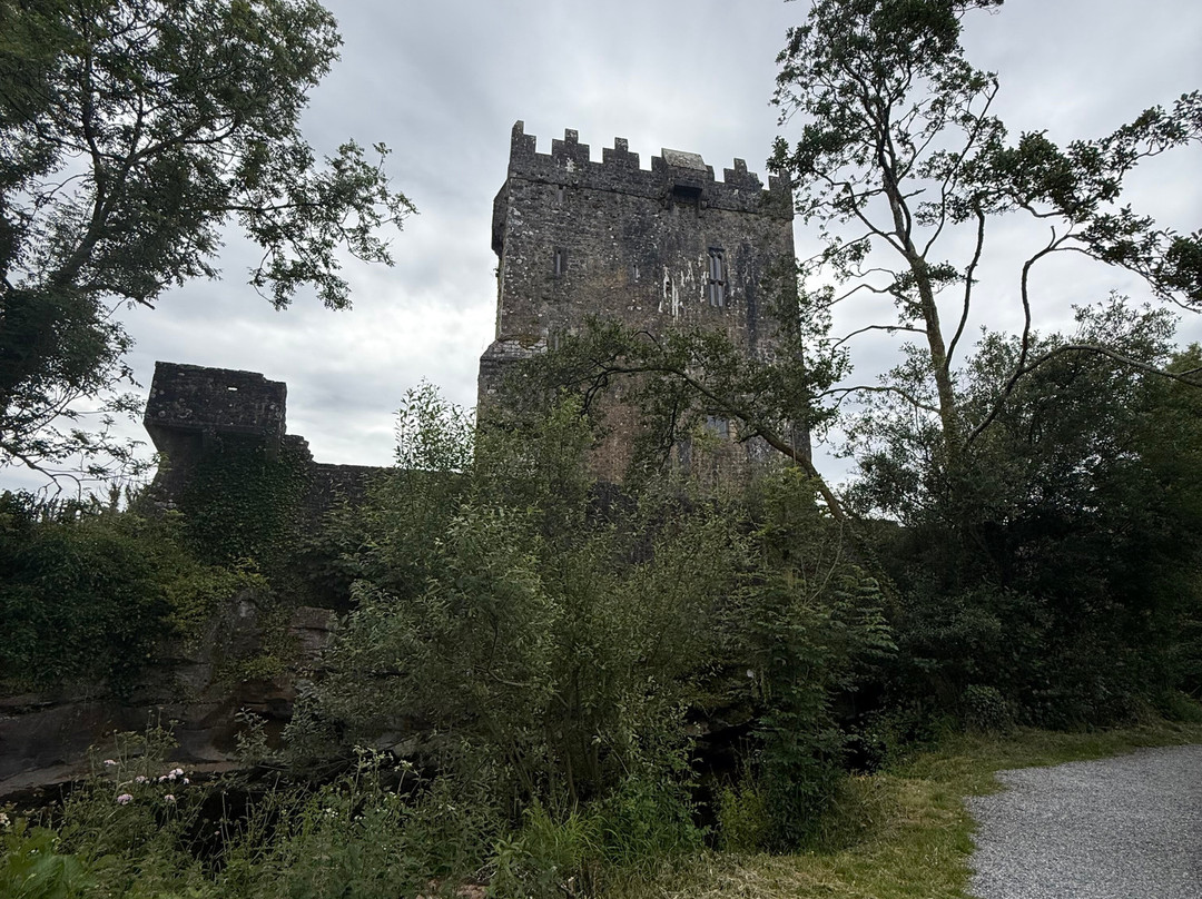 Aughnanure Castle-Oughterard必去景点