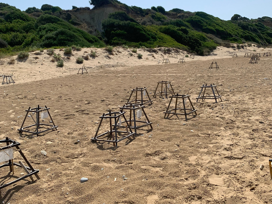 Gerakas Beach-瓦西里科斯必去景点