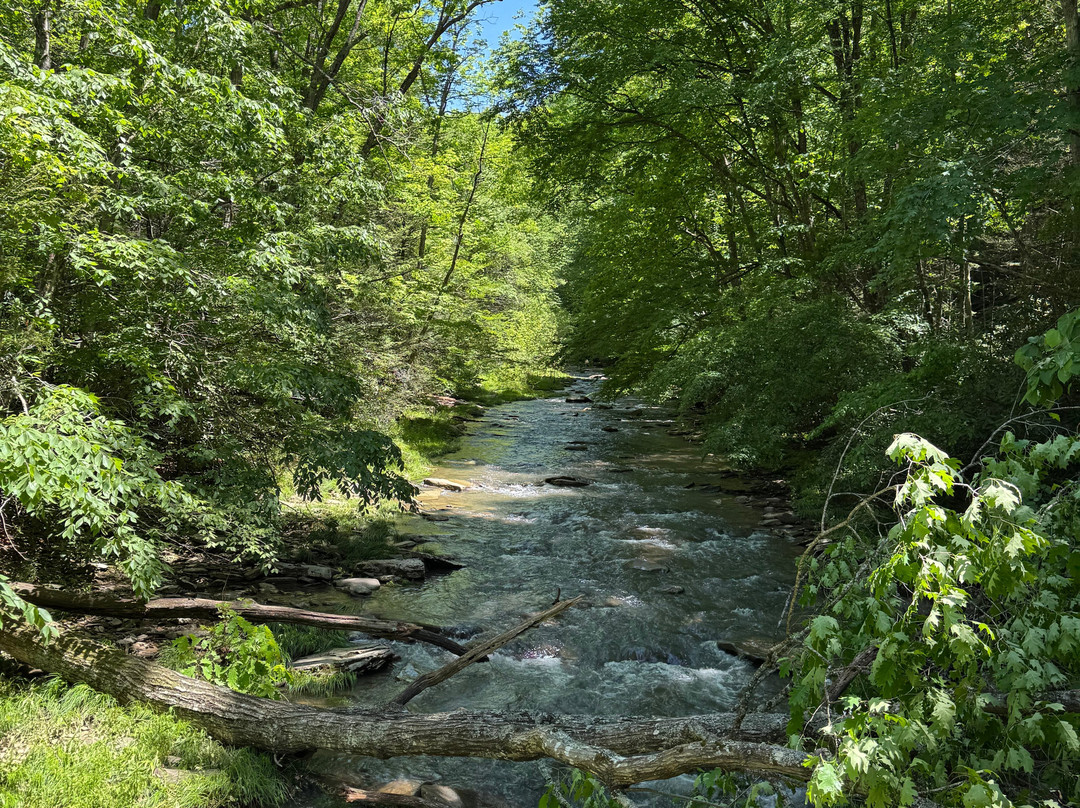 Allegheny Trail-Marlinton必去景点