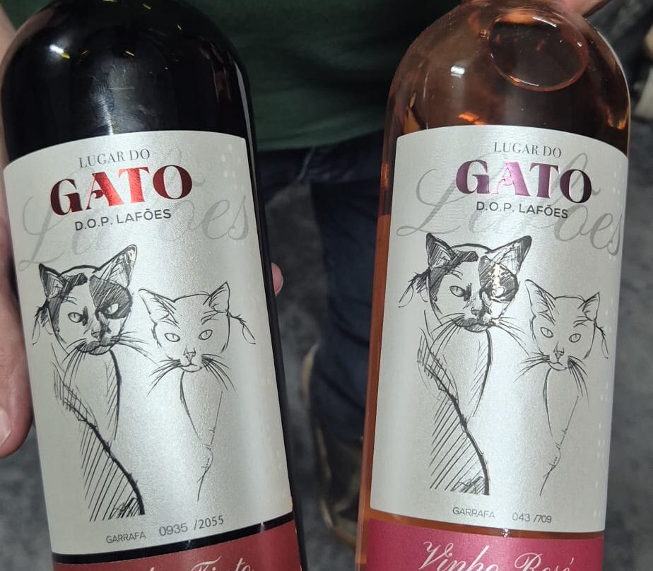 Quinta Do Gato Enoturismo-Sao Pedro do Sul必去景点