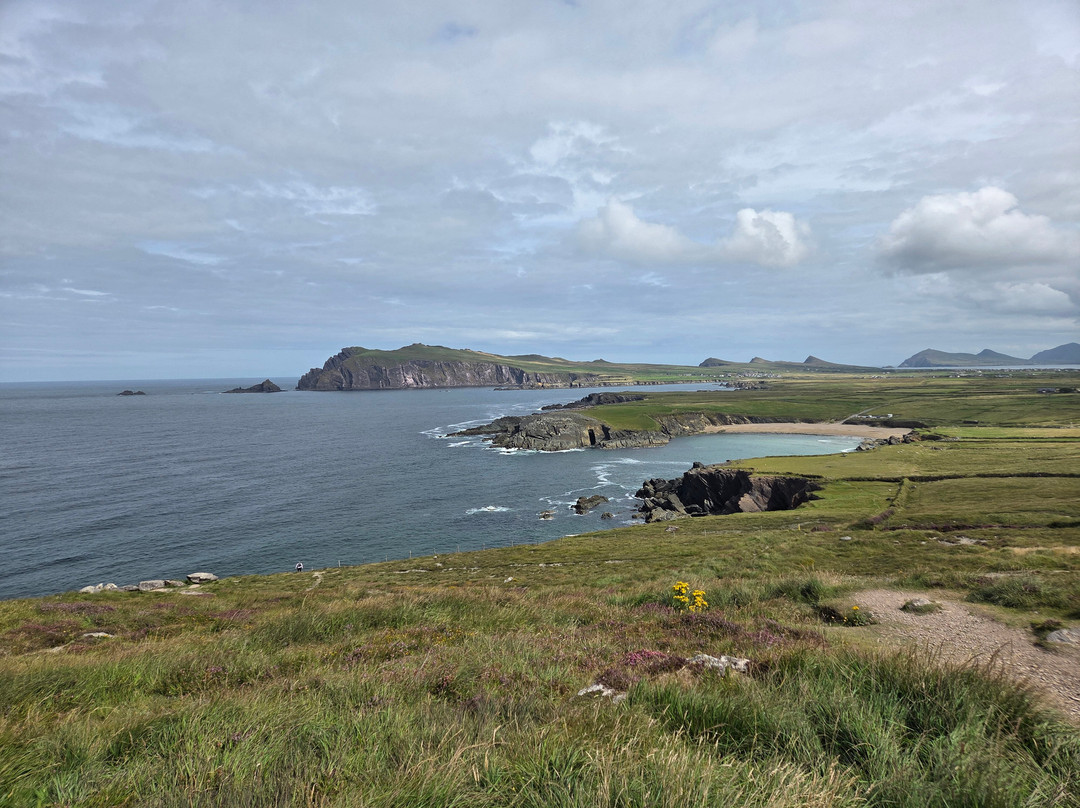 Love Irish Tours-都柏林必去景点
