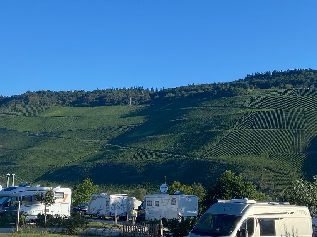 Moselcamping Bernkastel