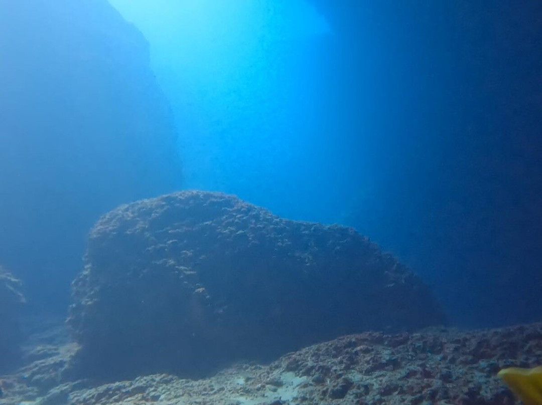 Blue Adventures Diving-干尼亚必去景点