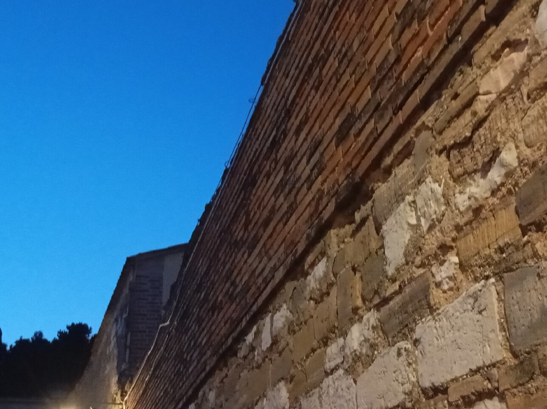 Torre civica di San Severino Marche-San Severino Marche必去景点