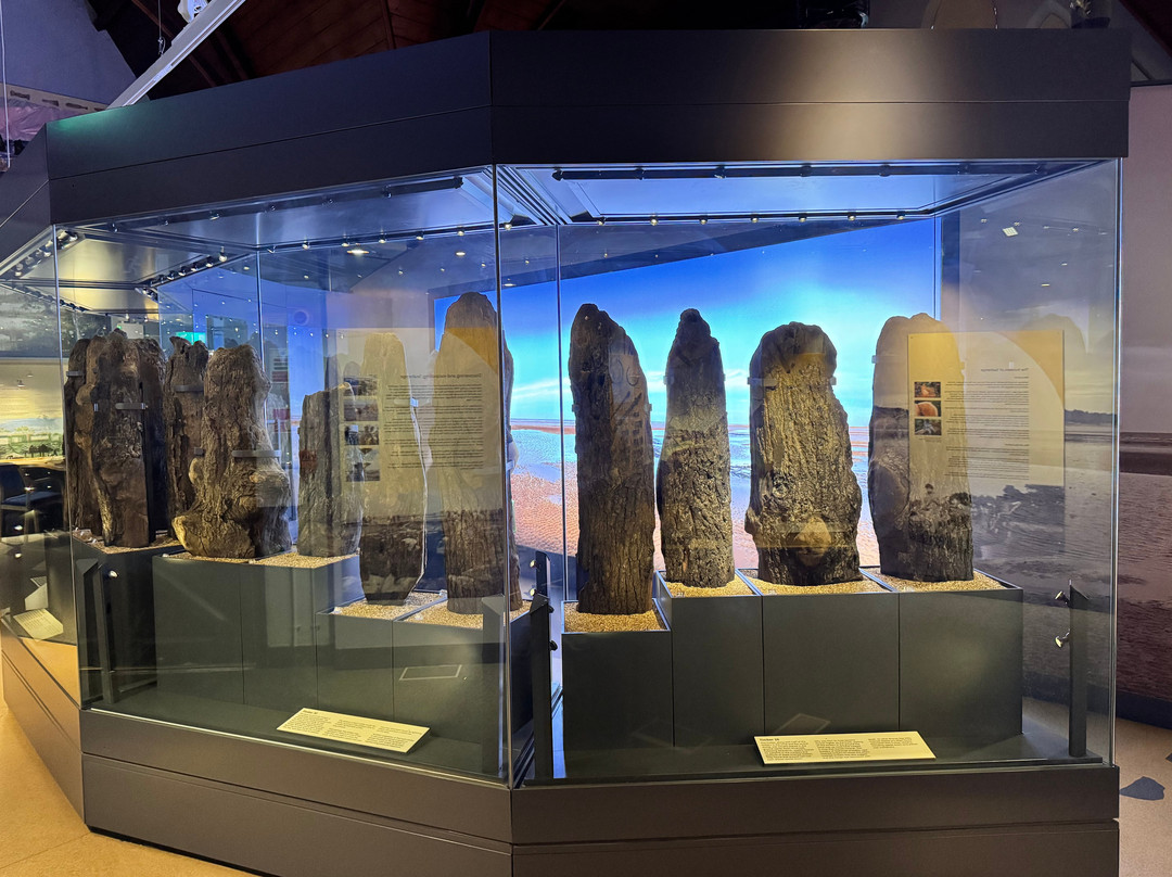 Lynn Museum-金斯林必去景点