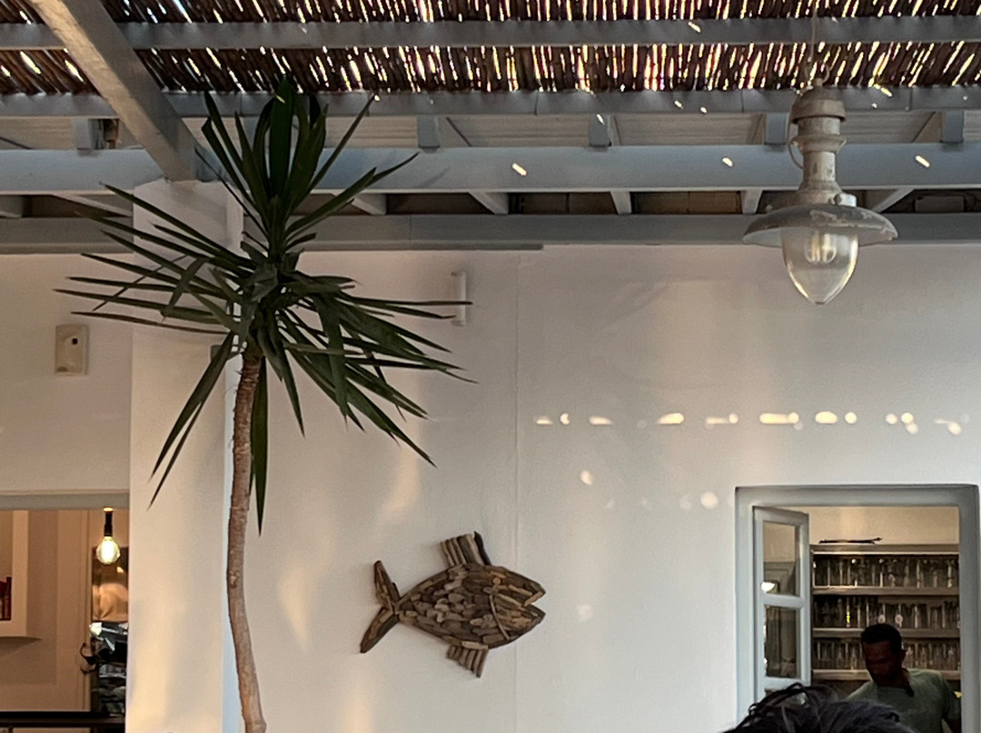 Delfini Beach Bar-Kini必去景点