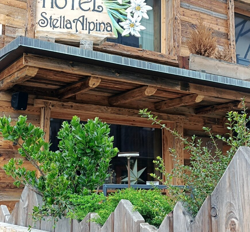 Hotel Stella Alpina主图