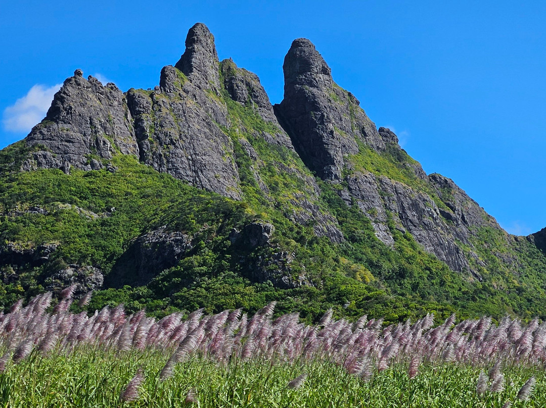 Trois Mammelle View