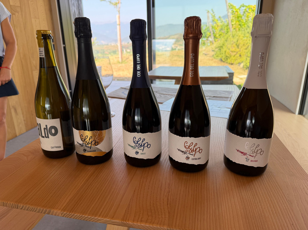 Col del lupo - Produzione e Degustazione Valdobbiadene Prosecco DOCG-Vidor必去景点