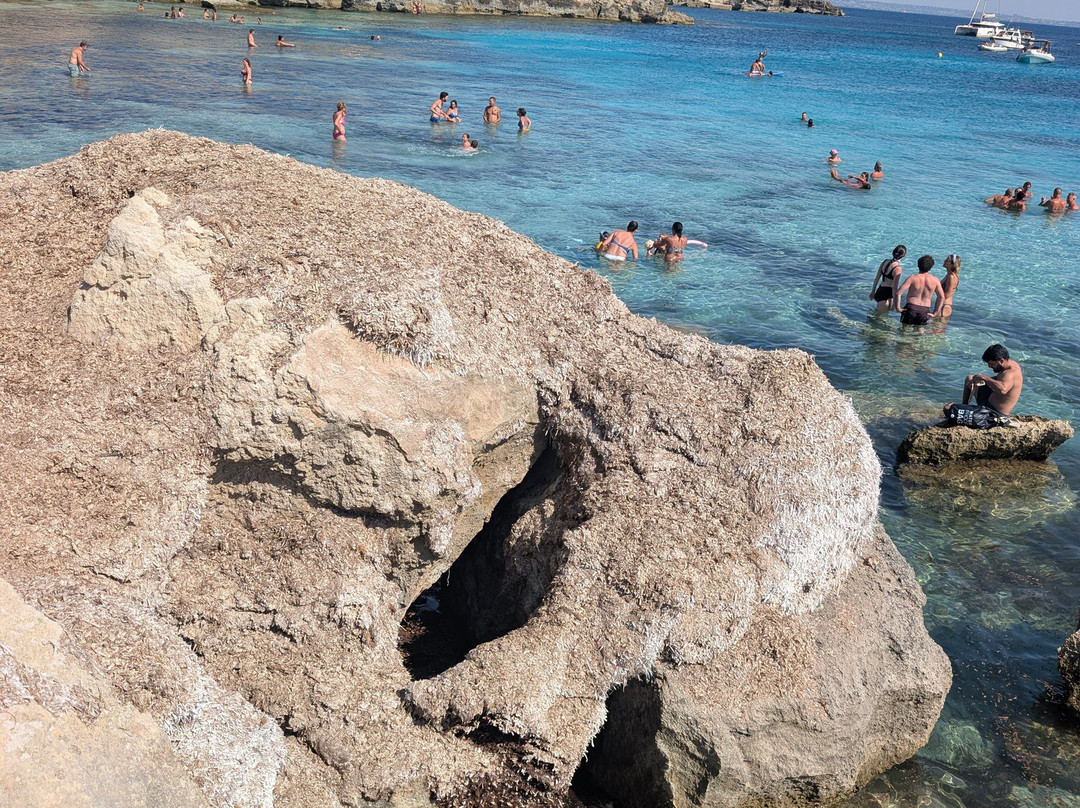 Scogliera Cala Azzurra-法维格纳纳必去景点