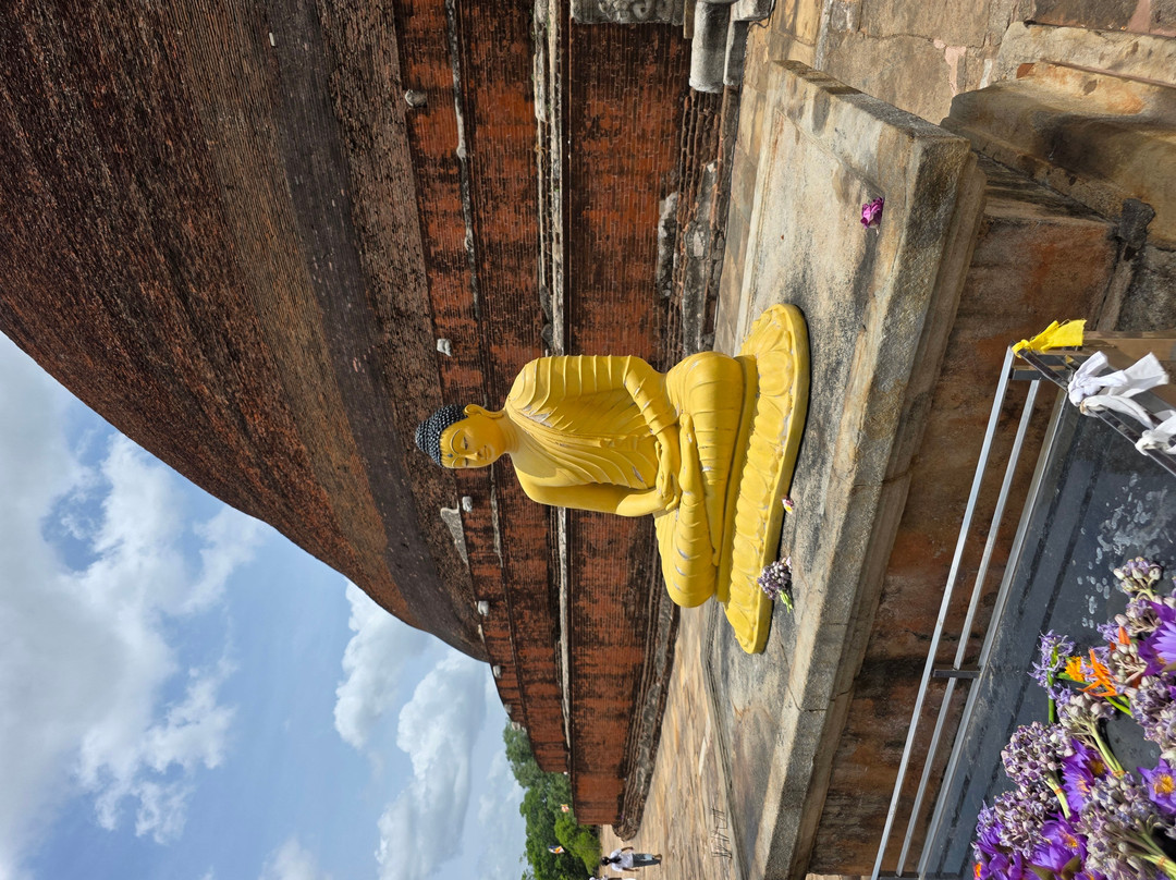 Driver in Sri Lanka-科伦坡必去景点