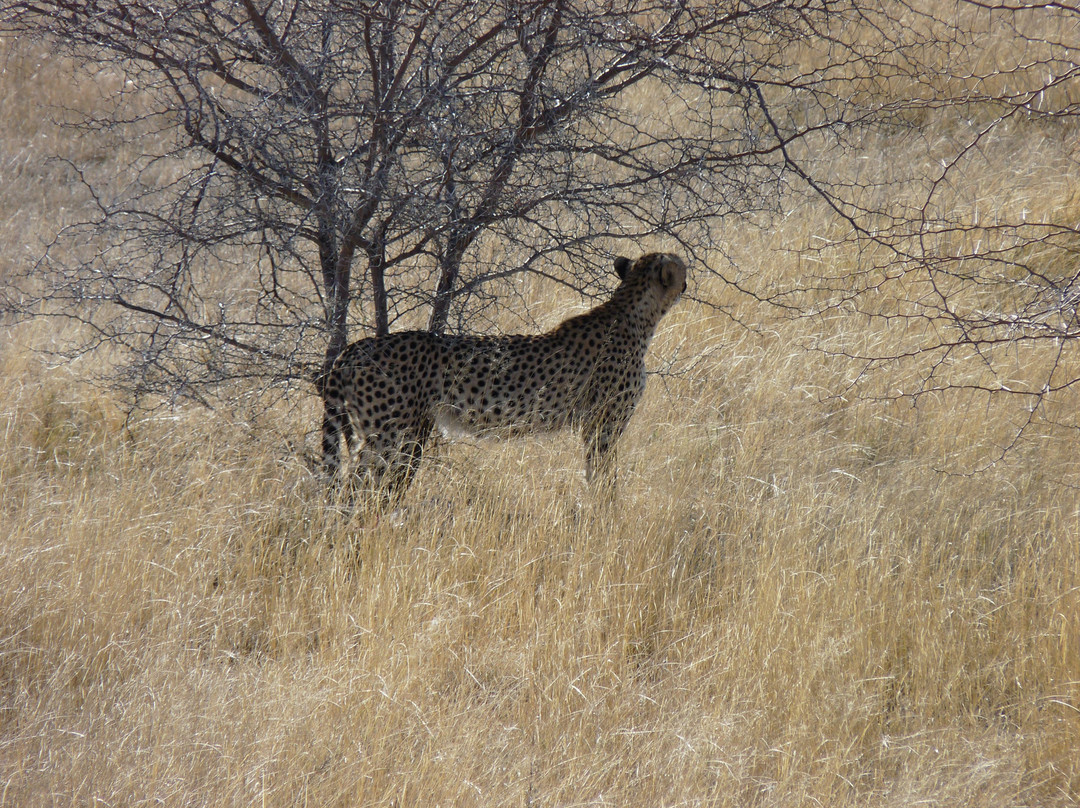 Namibia Tours & Safaris-斯瓦科普蒙德必去景点