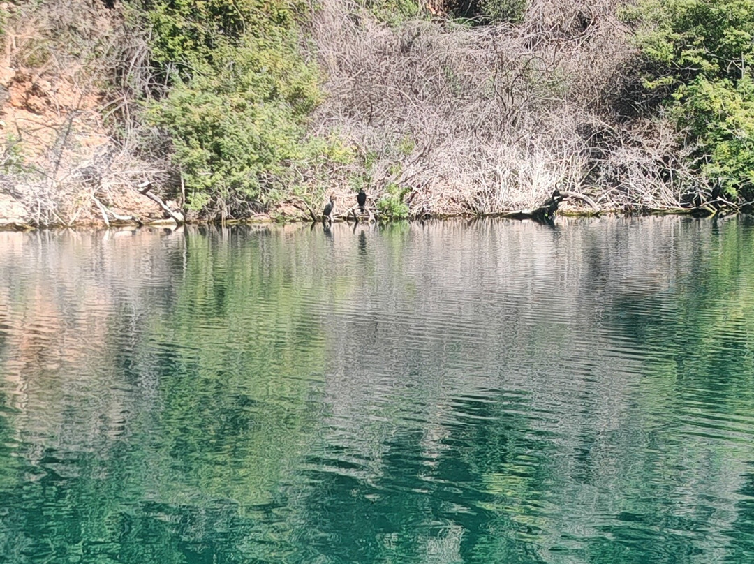 Into the wild Preveza-Kanali必去景点
