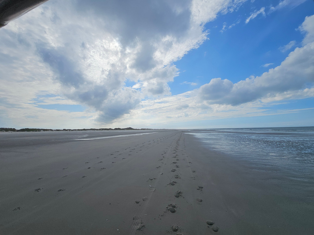 Puur Terschelling-Terschelling必去景点