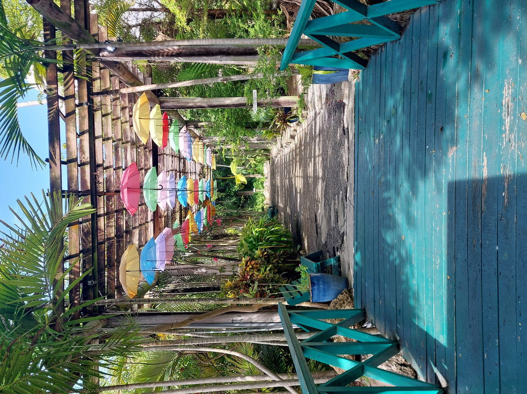 Garden of the Groves-弗里波特必去景点