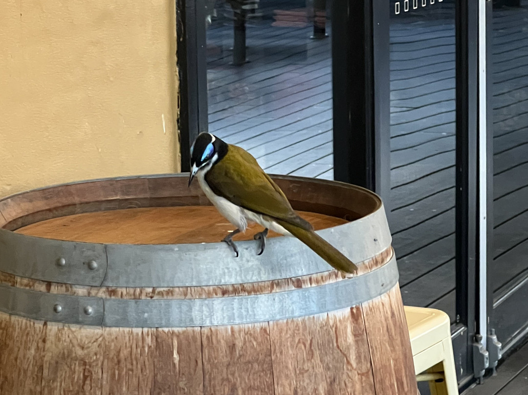 波高尔宾村 酒店主图