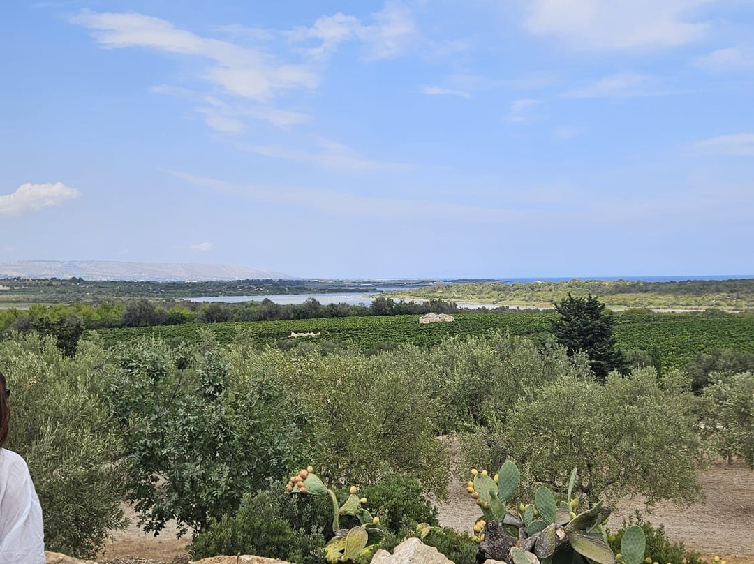 Tenuta Vendicari - viabizzuno agricola-Pachino必去景点
