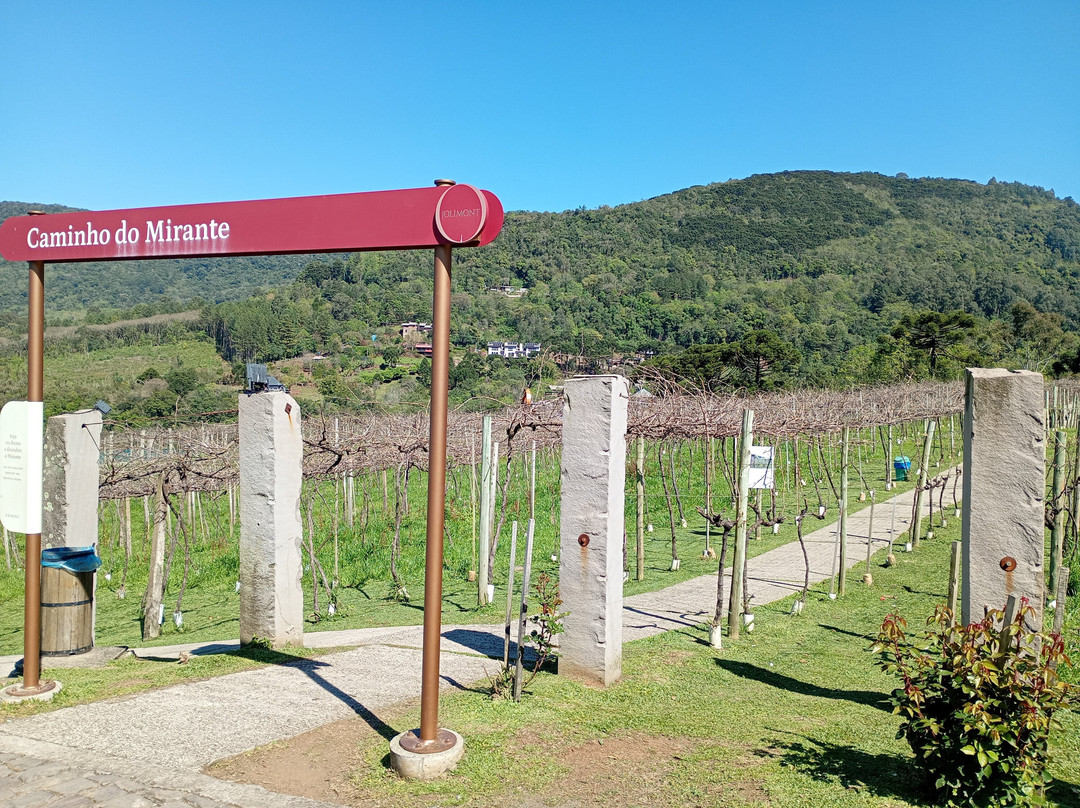 Vitivinicola Jolimont-卡内拉必去景点