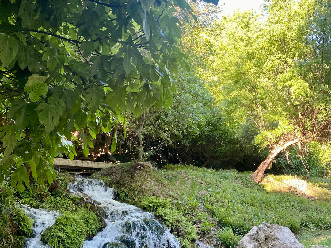 Bosque Encantado de Higueras-Pozo Alcon必去景点