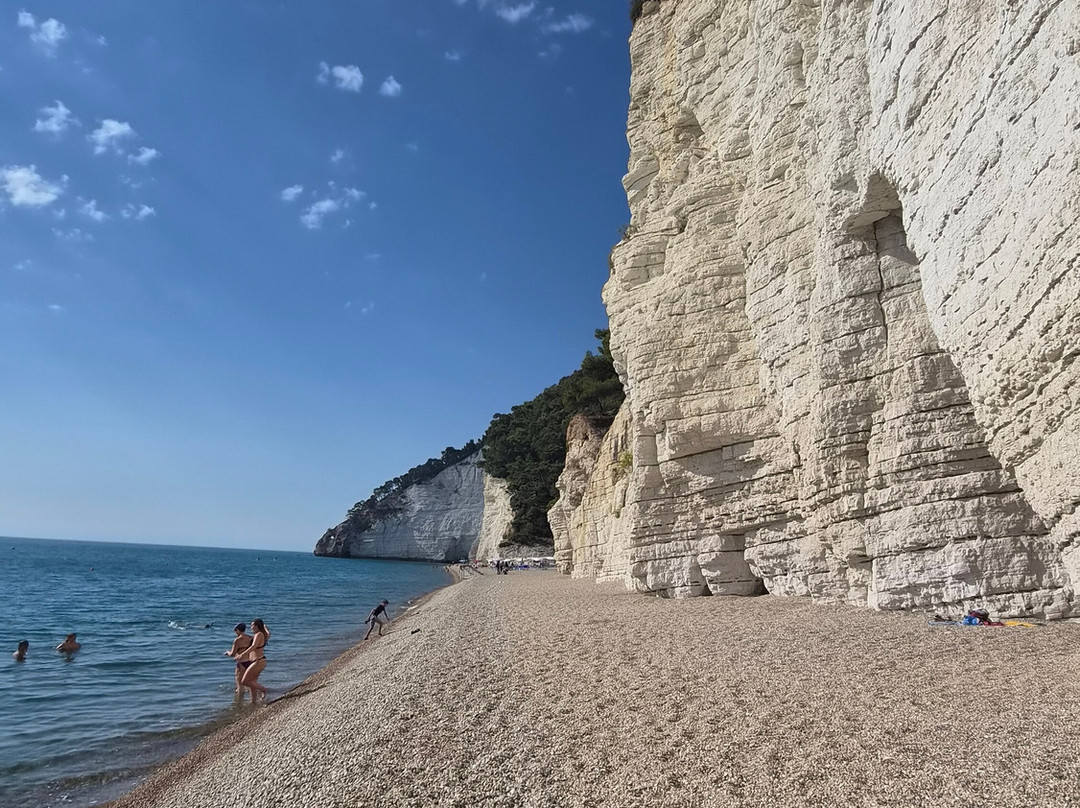Spiaggia di Vignanotica-维耶斯泰必去景点