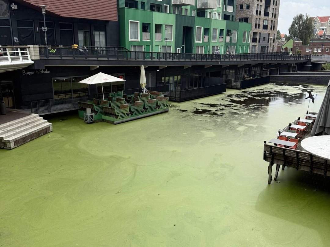 阿姆斯特丹扎安戴姆英特尔酒店主图