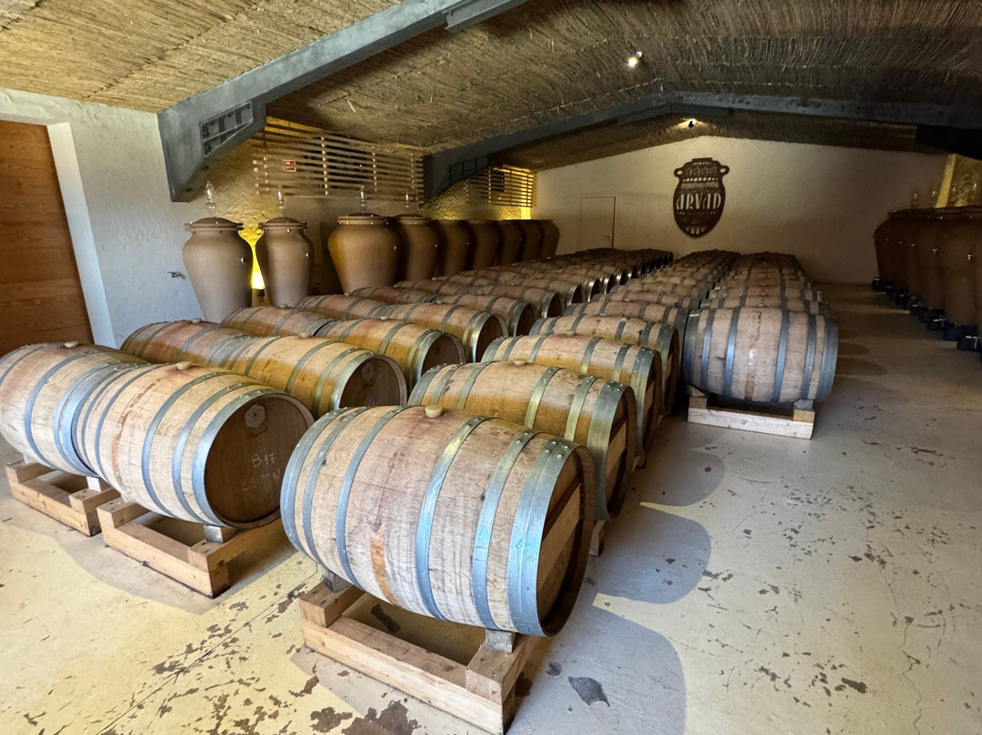 Arvad Wines-Estombar必去景点