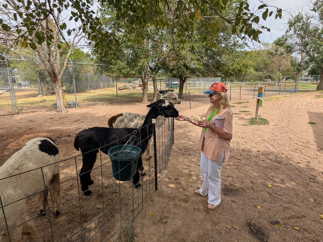 Tanganyika Wildlife Park-Goddard必去景点