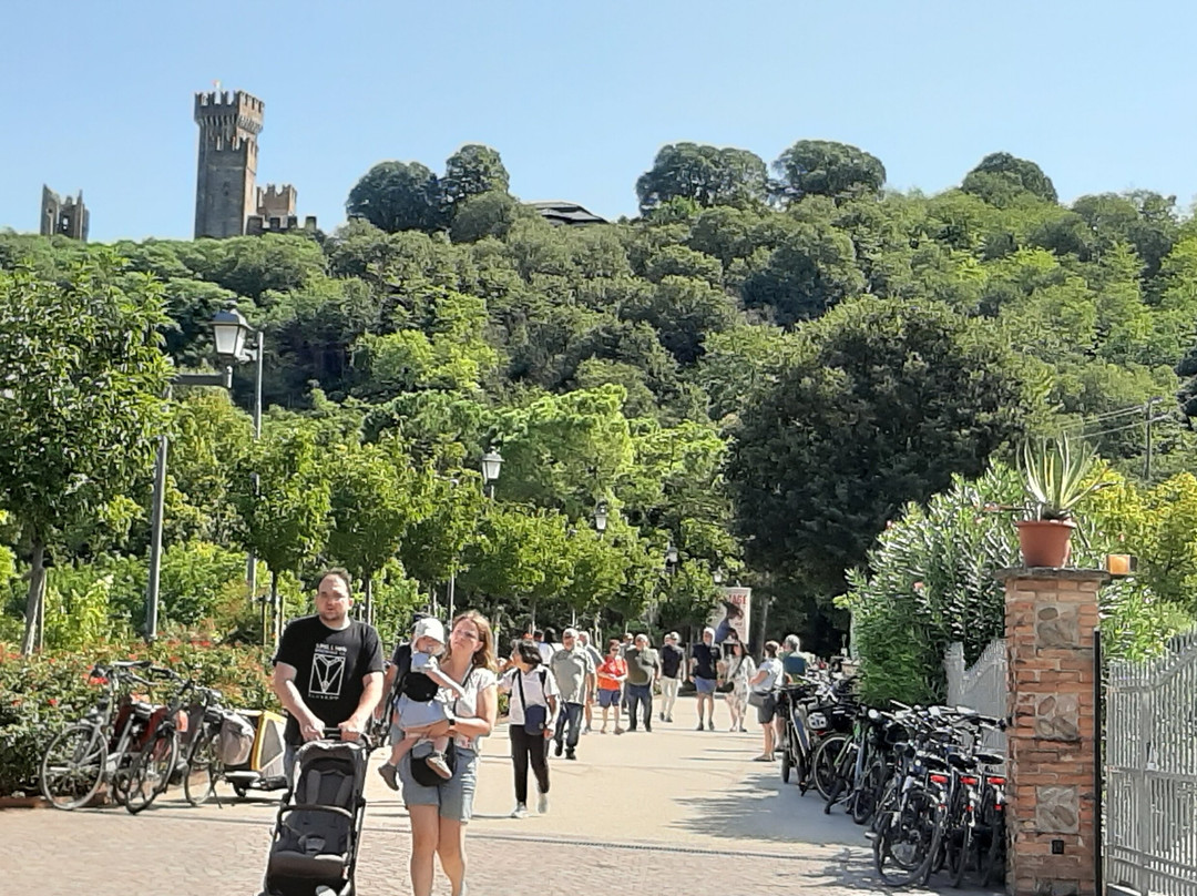 Pista Ciclabile del Fiume Mincio-佩斯基耶拉德尔加尔达必去景点