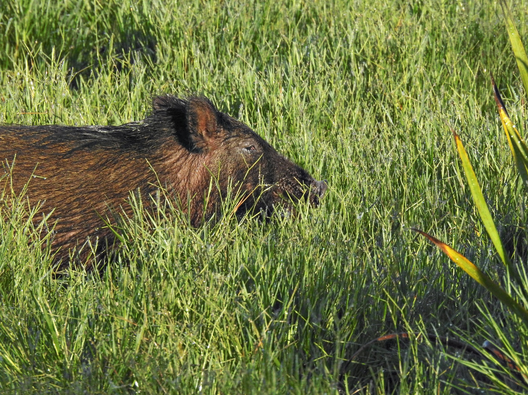 Percurso Salgueiral of Galicia Reserve-Santiago do Cacem必去景点