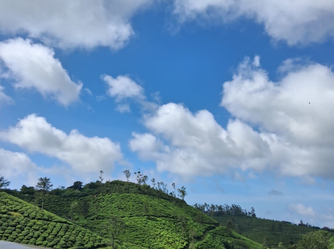 Travel Fair India - Day Tours-新德里必去景点