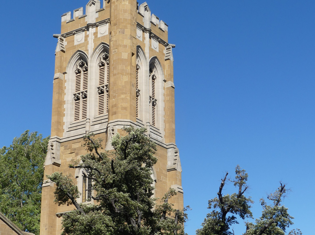 St. David's Cathedral-霍巴特必去景点